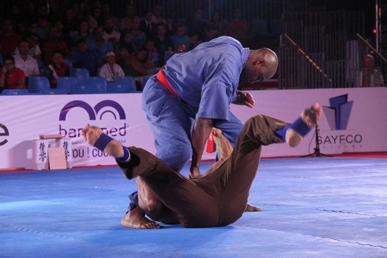 Martial Arts Festival
